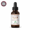 THC-Free Cbd Oil Tinctures