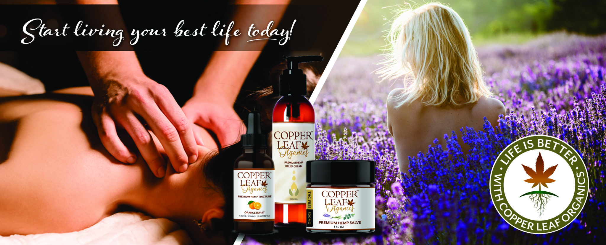 CLO-Web-Header_CreamSalve-NEW-4-scaled